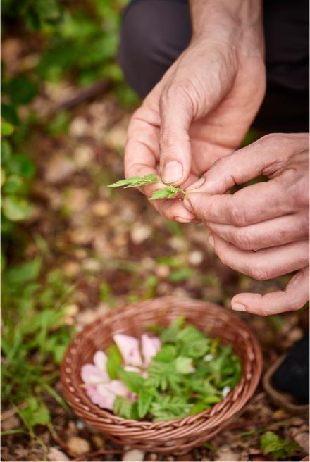 La Casa Rosa - Gallery - 2
